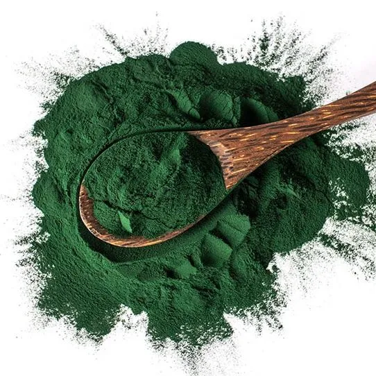 Nannochloropsis Powder